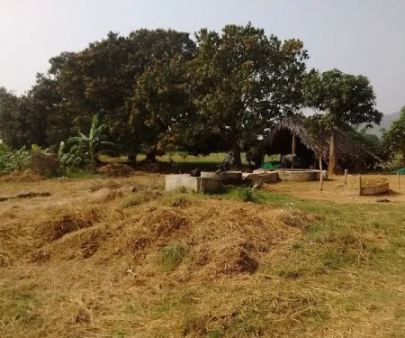 West Star Heating & Air Conditioning