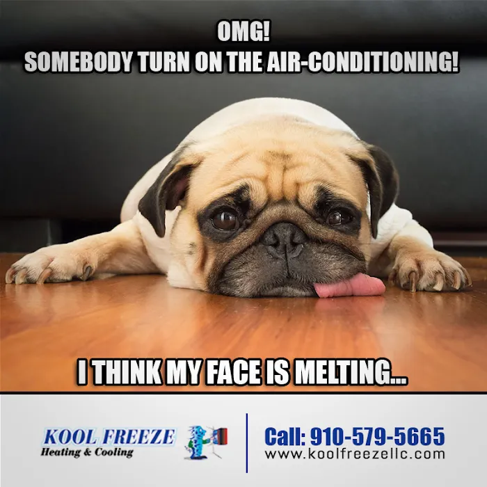 Kool Freeze LLC Picture 9