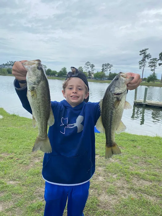 Heat Pumps Plus LLC Picture 3