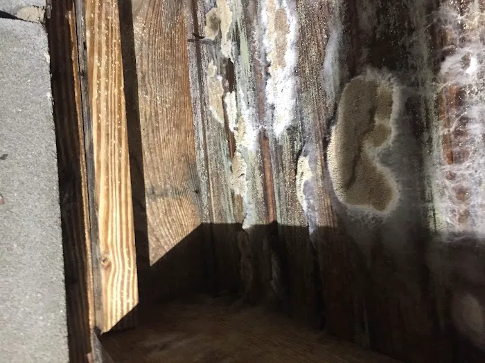 HQ Solution LLC Picture 6