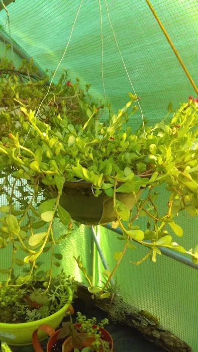 Tim's Heating & Air Conditioning Picture 5