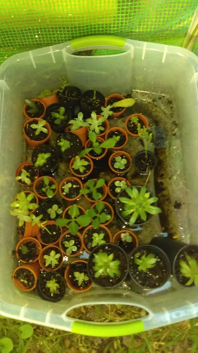 Tim's Heating & Air Conditioning Picture 1