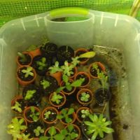 Tim's Heating & Air Conditioning ico