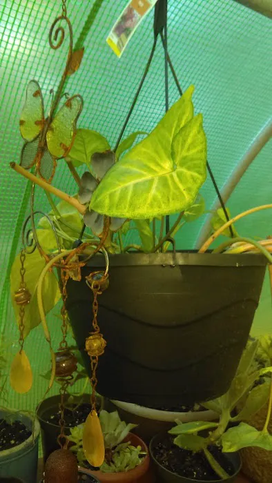 Tim's Heating & Air Conditioning Picture 2