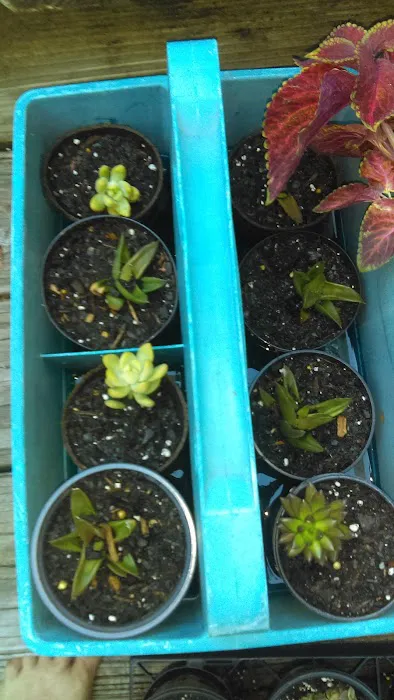 Tim's Heating & Air Conditioning Picture 3