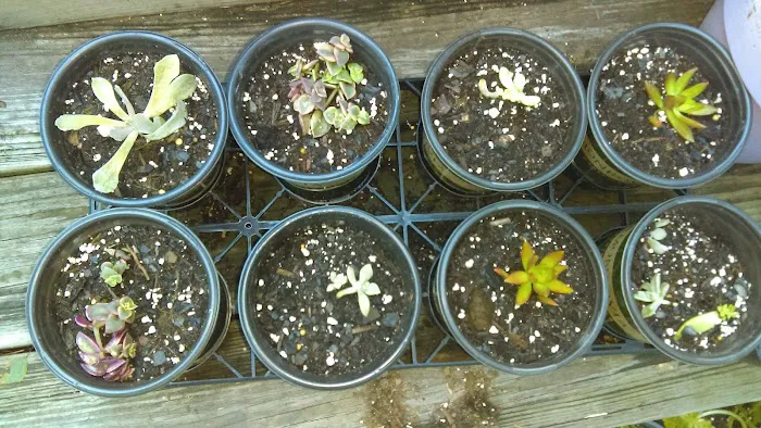 Tim's Heating & Air Conditioning Picture 10