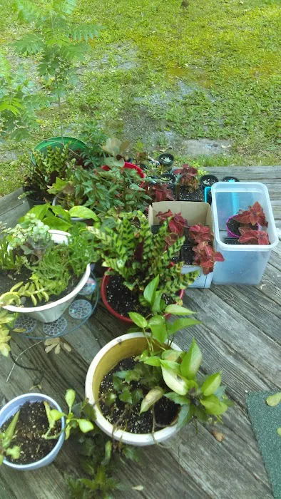 Tim's Heating & Air Conditioning Picture 9