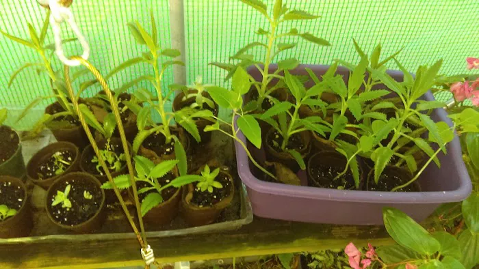 Tim's Heating & Air Conditioning Picture 7