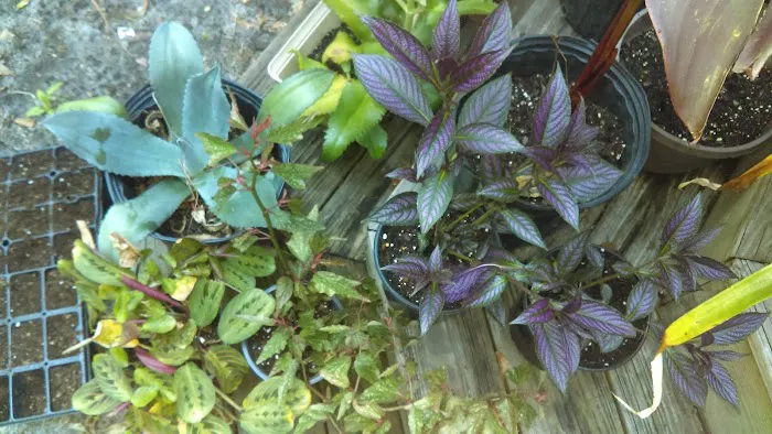 Tim's Heating & Air Conditioning Picture 6