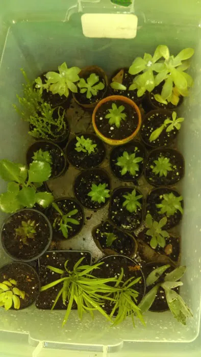 Tim's Heating & Air Conditioning Picture 8