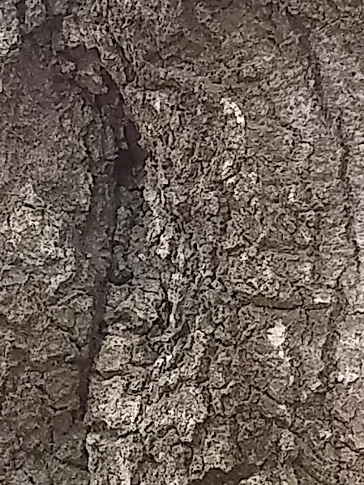 Strickland Heating & Air Picture 1