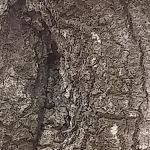 Strickland Heating & Air