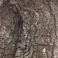 Strickland Heating & Air ico