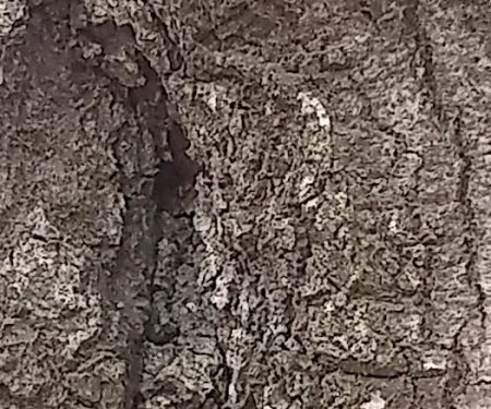 Strickland Heating & Air