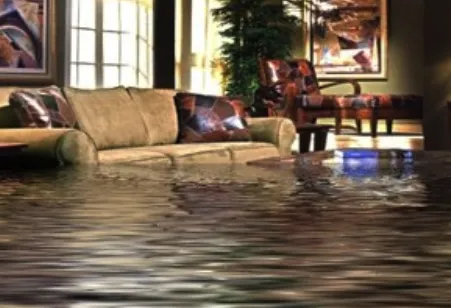 Michael & Son Services Picture 2