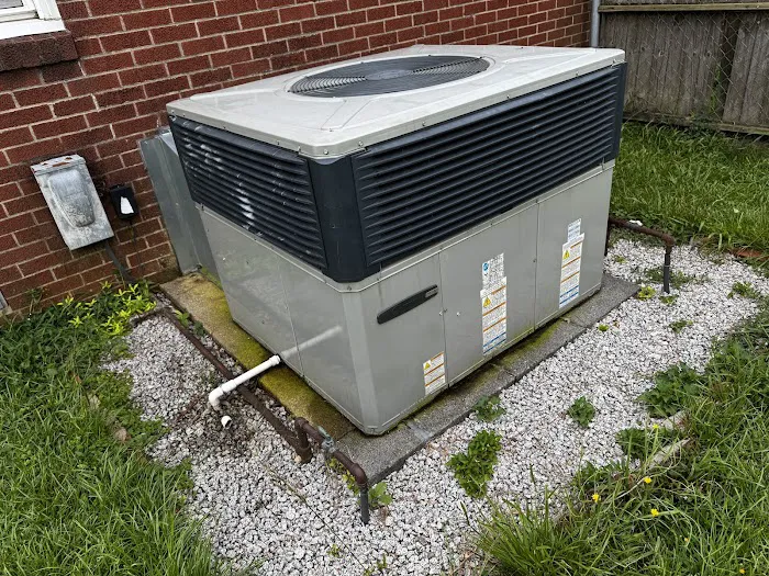 Jackson & Sons Picture 3