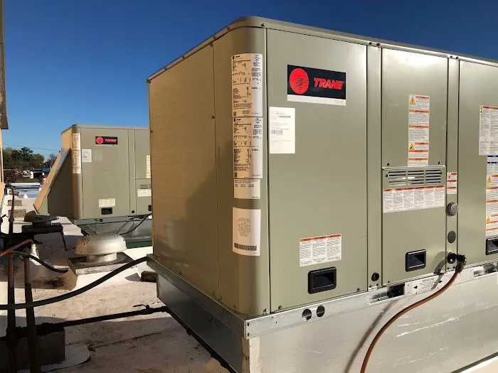 Jackson & Sons Picture 5