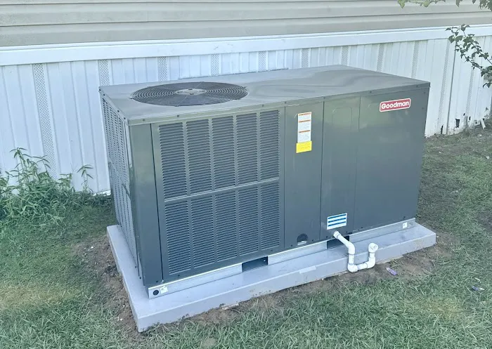 Jackson & Sons Picture 4