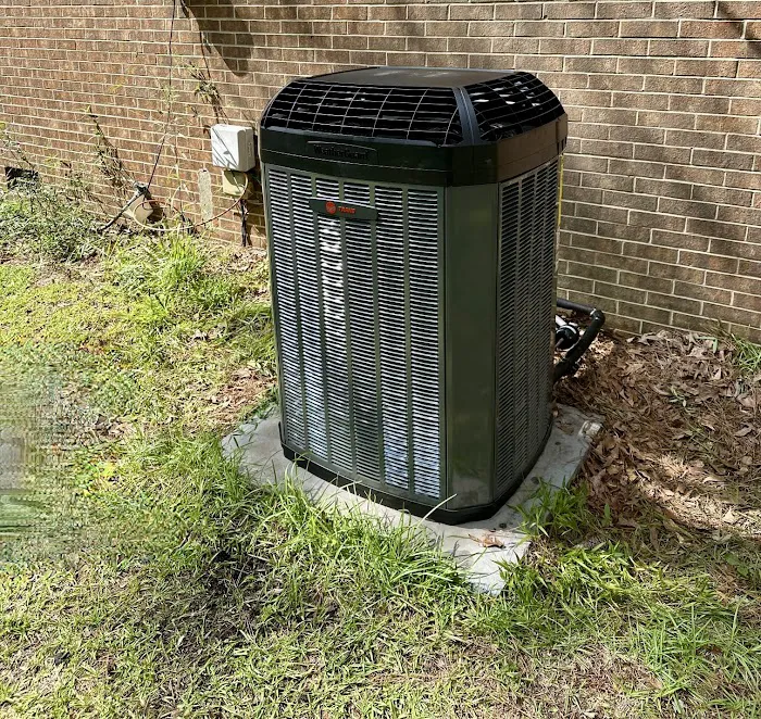 Jackson & Sons Picture 10