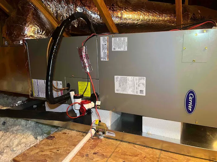 Jackson & Sons Picture 1