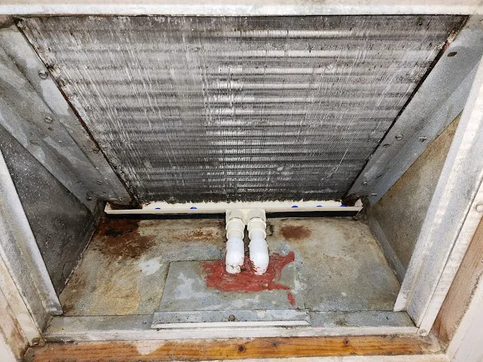 Revolutionary Air Picture 5