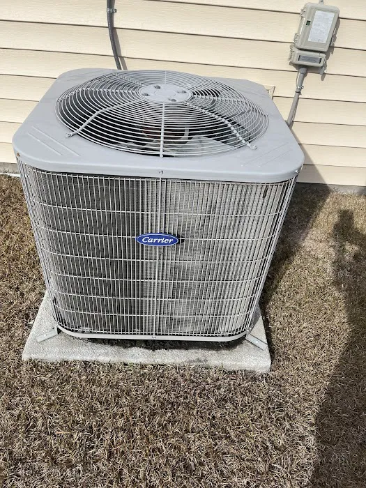 Beach Maintenance Picture 4