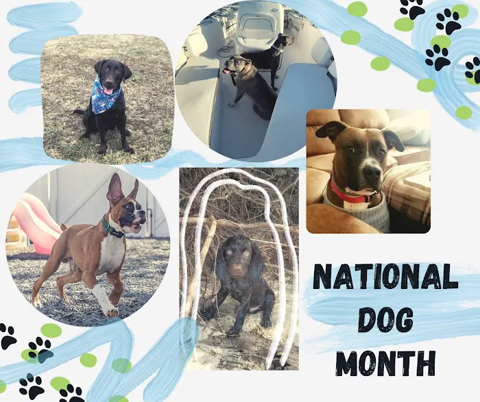 Reeves Heating & Air Conditioning Picture 8