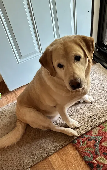 K & V Heating & Air Conditioning Picture 6