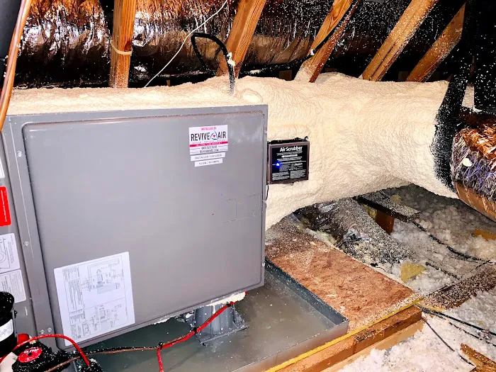 Deluca Air Picture 4