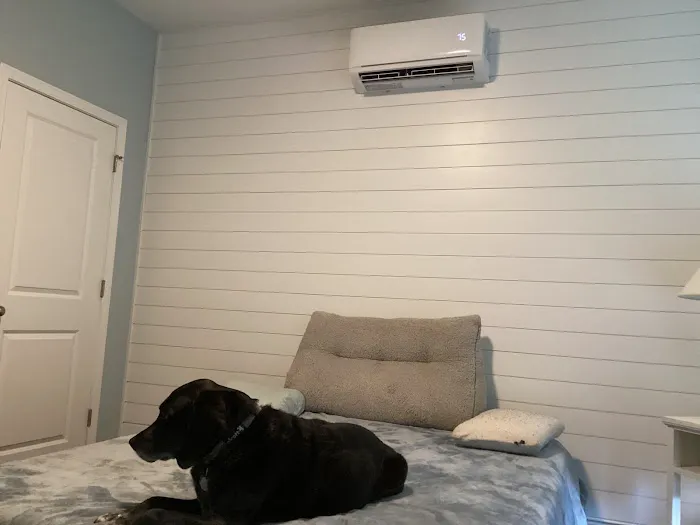 Carolina Cool Picture 4