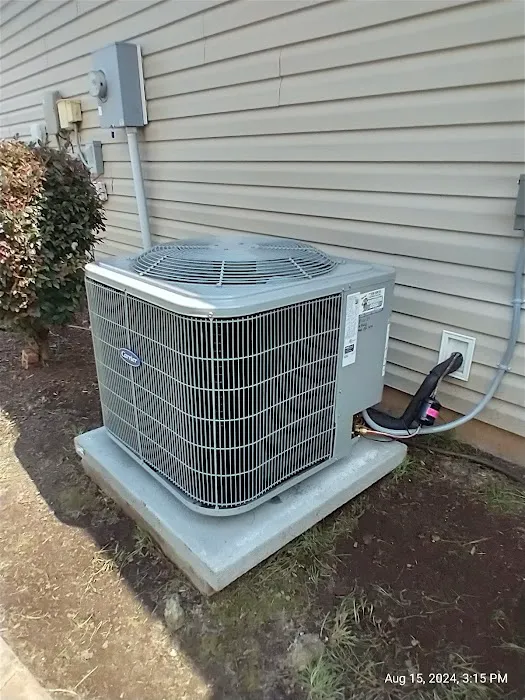 Carolina Cool Picture 6