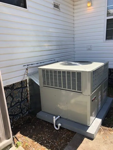 Cool Beahns Picture 2