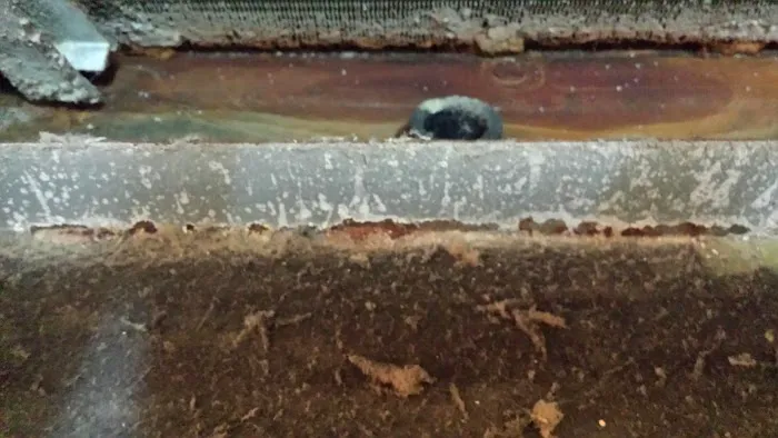 30 Minute Services Picture 1