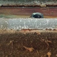 30 Minute Services ico