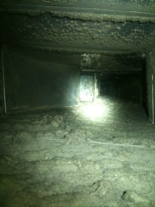 AdvantaClean of the Triad Picture 9