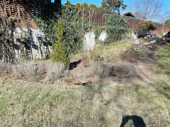 Carter's handyman services and lawncare Picture 8