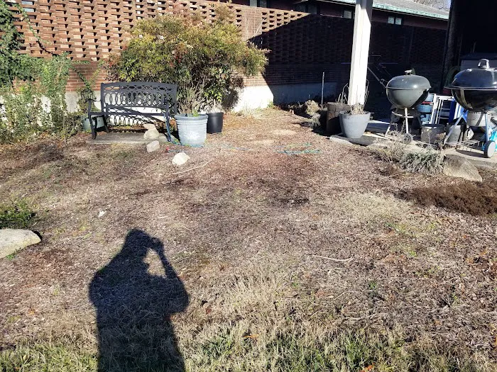 Carter's handyman services and lawncare Picture 6