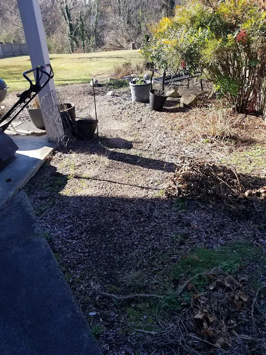 Carter's handyman services and lawncare Picture 2