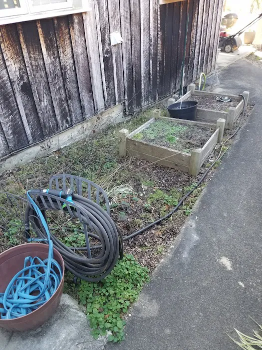 Carter's handyman services and lawncare Picture 9