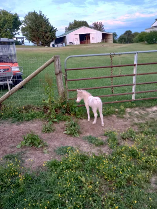 Lafayette Heat & Air Conditioning Picture 2