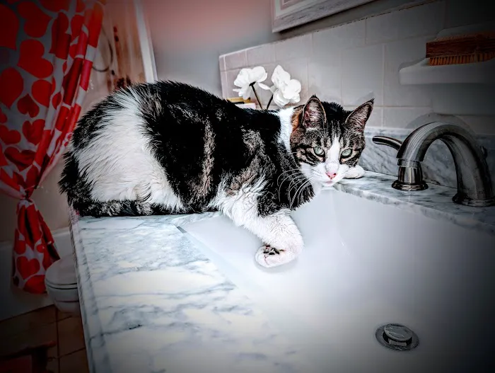 Pipe Wrench Plumbing, Heating & Cooling Picture 9