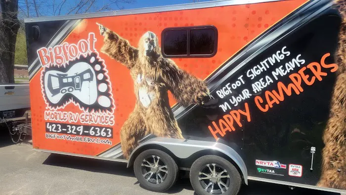 Bigfoot Mobile RV Services LLC Picture 4