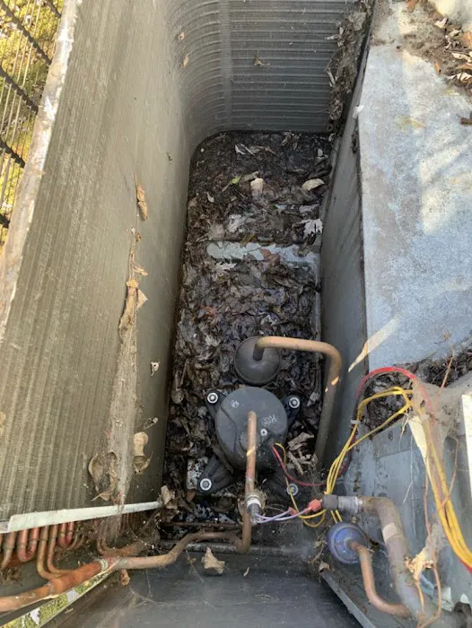 Cool Star LLC Picture 5