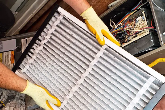 Total Group Picture 7