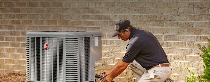 Stewart Enterprises LLC Picture 5