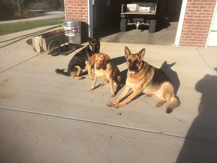 Complete Service Heat & Air Picture 1