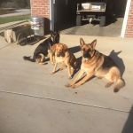 Complete Service Heat & Air