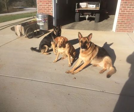 Complete Service Heat & Air