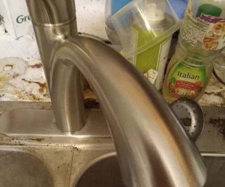 Pioneer Home Services