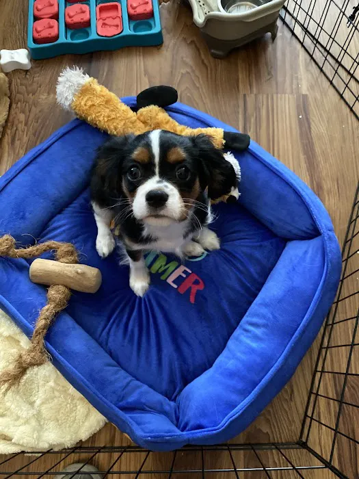 Donelson Air Service Experts Picture 1